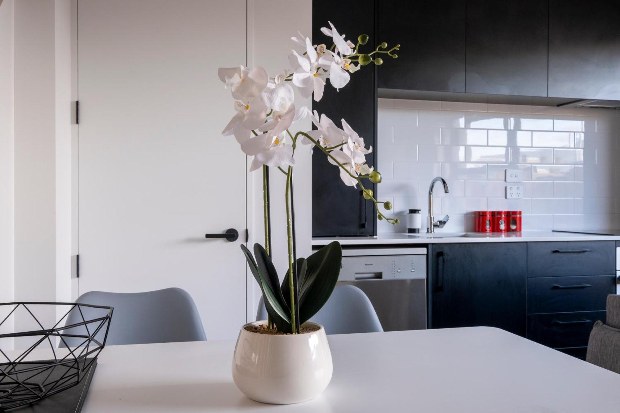 Luxury 2 Bed Townhome In Cbd Christchurch Exterior foto